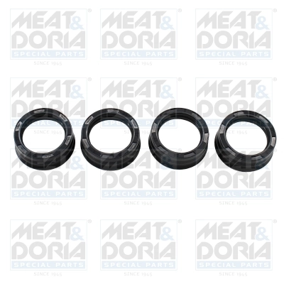 Seal Ring, injector